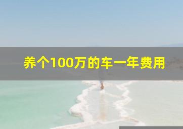 养个100万的车一年费用