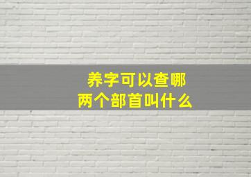 养字可以查哪两个部首叫什么