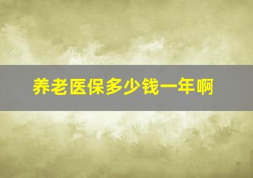 养老医保多少钱一年啊