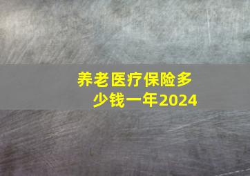 养老医疗保险多少钱一年2024