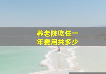 养老院吃住一年费用共多少