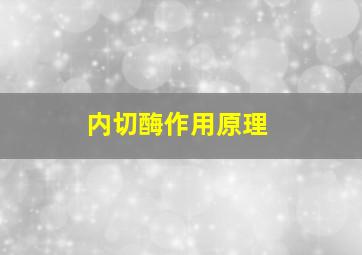 内切酶作用原理