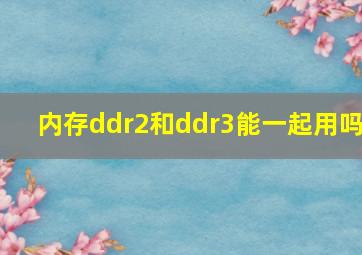 内存ddr2和ddr3能一起用吗