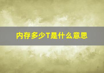 内存多少T是什么意思