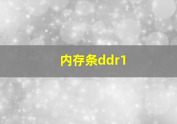 内存条ddr1