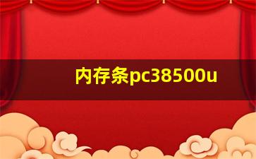 内存条pc38500u