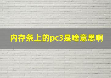 内存条上的pc3是啥意思啊