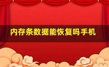 内存条数据能恢复吗手机