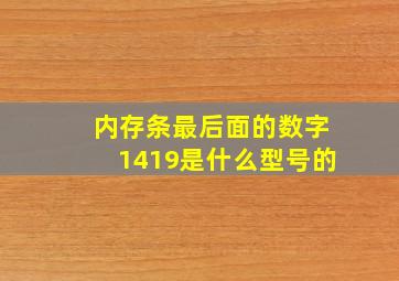 内存条最后面的数字1419是什么型号的