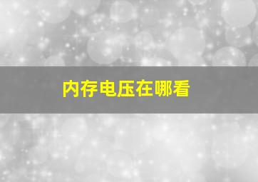 内存电压在哪看