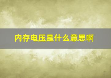 内存电压是什么意思啊