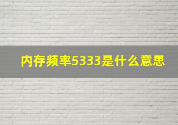 内存频率5333是什么意思