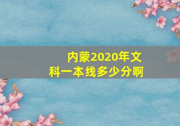 内蒙2020年文科一本线多少分啊