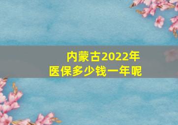 内蒙古2022年医保多少钱一年呢