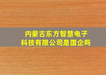 内蒙古东方智慧电子科技有限公司是国企吗