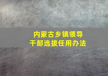 内蒙古乡镇领导干部选拔任用办法