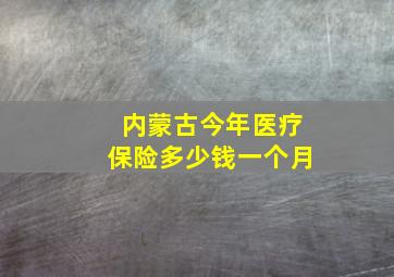 内蒙古今年医疗保险多少钱一个月