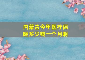 内蒙古今年医疗保险多少钱一个月啊