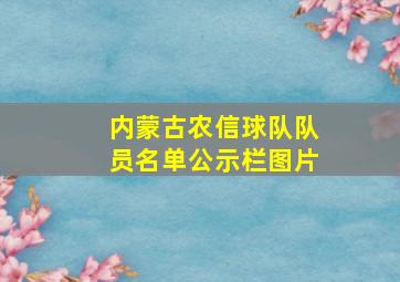 内蒙古农信球队队员名单公示栏图片