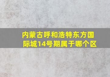 内蒙古呼和浩特东方国际城14号期属于哪个区