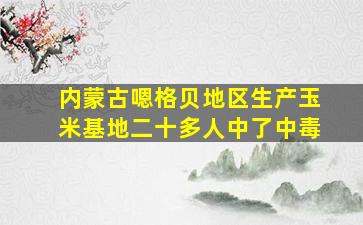 内蒙古嗯格贝地区生产玉米基地二十多人中了中毒