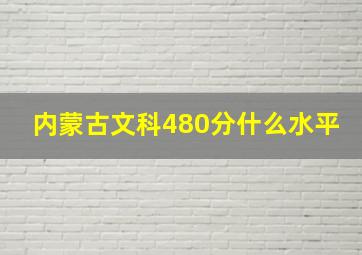 内蒙古文科480分什么水平