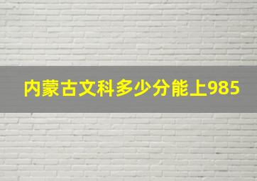 内蒙古文科多少分能上985