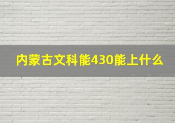 内蒙古文科能430能上什么