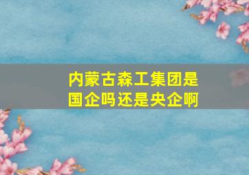 内蒙古森工集团是国企吗还是央企啊