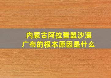 内蒙古阿拉善盟沙漠广布的根本原因是什么