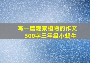 写一篇观察植物的作文300字三年级小蜗牛