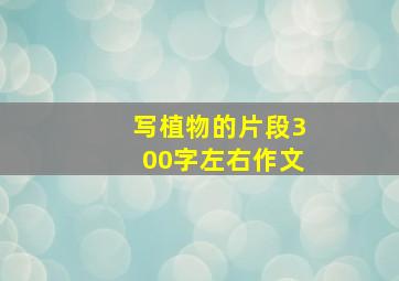 写植物的片段300字左右作文