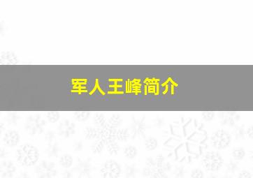 军人王峰简介