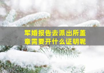 军婚报告去派出所盖章需要开什么证明呢