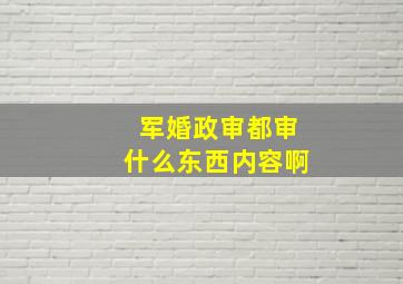 军婚政审都审什么东西内容啊