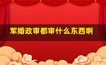 军婚政审都审什么东西啊