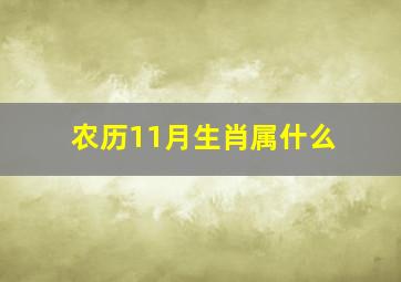 农历11月生肖属什么