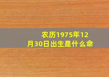 农历1975年12月30日出生是什么命