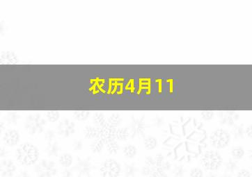 农历4月11