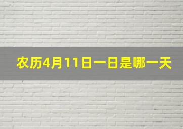 农历4月11日一日是哪一天