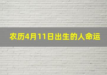 农历4月11日出生的人命运