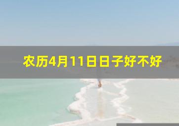 农历4月11日日子好不好