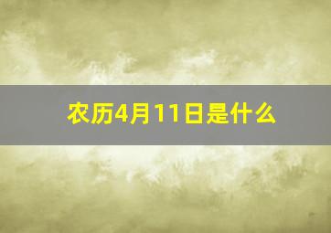 农历4月11日是什么