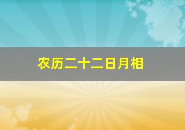 农历二十二日月相