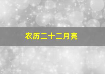 农历二十二月亮