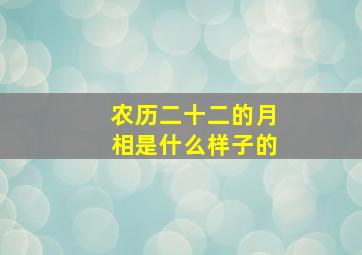 农历二十二的月相是什么样子的