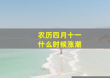 农历四月十一什么时候涨潮