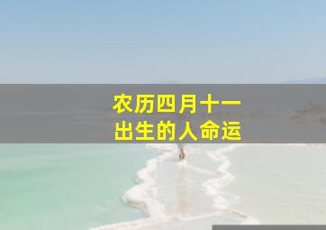 农历四月十一出生的人命运