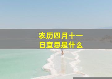 农历四月十一日宜忌是什么