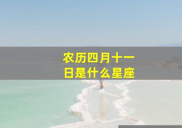 农历四月十一日是什么星座